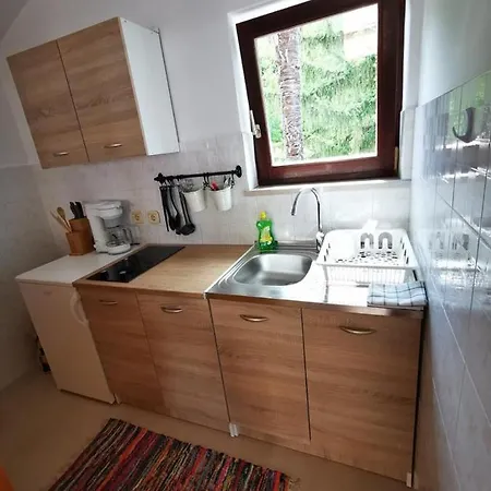 Apartment Franci Moscenicka Draga